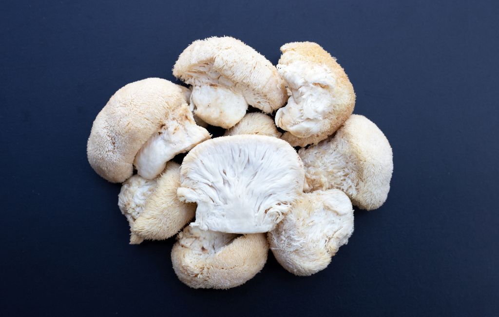 best mushrooms